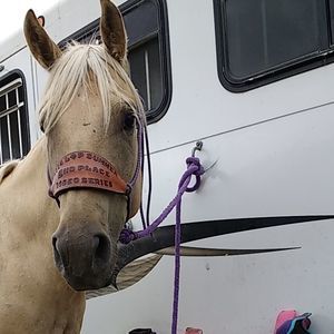 Meet your Posher, Blair